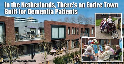 dementia village netherlands|retirement homes for dementia patients.